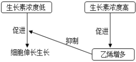 菁優(yōu)網(wǎng)