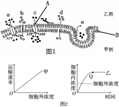 菁優(yōu)網(wǎng)