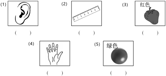 菁優(yōu)網