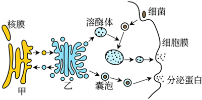 菁優(yōu)網(wǎng)