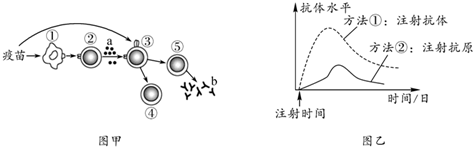 菁優(yōu)網(wǎng)