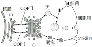 菁優(yōu)網(wǎng)