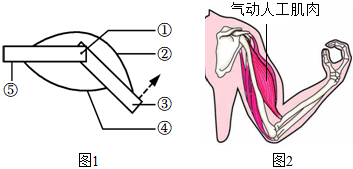 菁優(yōu)網