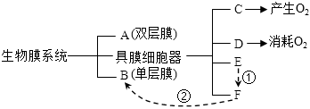 菁優(yōu)網(wǎng)