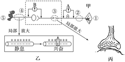 菁優(yōu)網(wǎng)