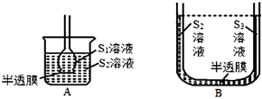 菁優(yōu)網(wǎng)