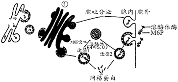 菁優(yōu)網(wǎng)