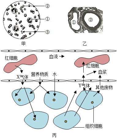 菁優(yōu)網(wǎng)