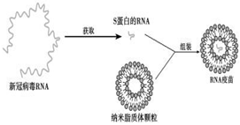 菁優(yōu)網