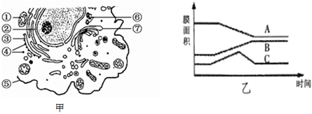 菁優(yōu)網(wǎng)