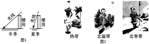 菁優(yōu)網