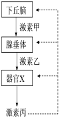 菁優(yōu)網(wǎng)