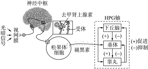 菁優(yōu)網