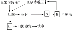 菁優(yōu)網(wǎng)