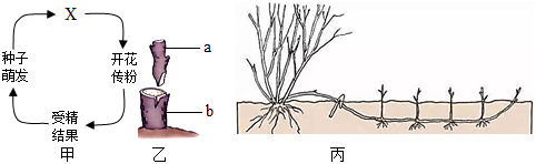 菁優(yōu)網(wǎng)