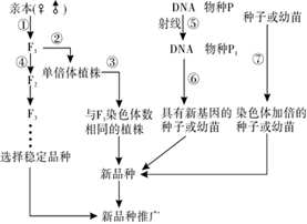 菁優(yōu)網(wǎng)