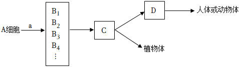 菁優(yōu)網(wǎng)