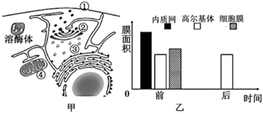 菁優(yōu)網