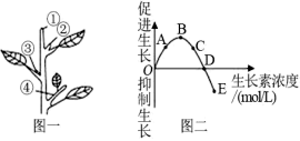 菁優(yōu)網(wǎng)