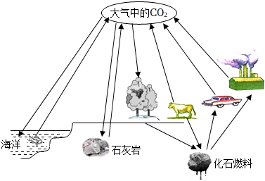 菁優(yōu)網(wǎng)