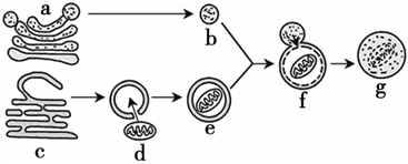 菁優(yōu)網(wǎng)