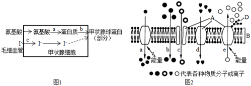 菁優(yōu)網