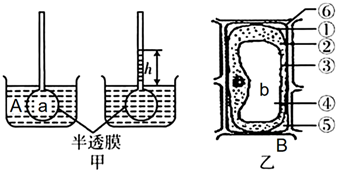 菁優(yōu)網