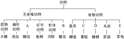 菁優(yōu)網(wǎng)