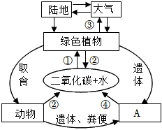 菁優(yōu)網(wǎng)