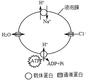 菁優(yōu)網(wǎng)