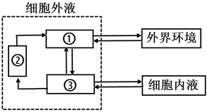 菁優(yōu)網(wǎng)