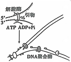 菁優(yōu)網