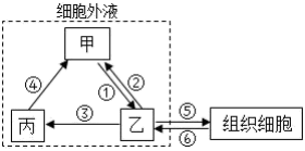 菁優(yōu)網(wǎng)