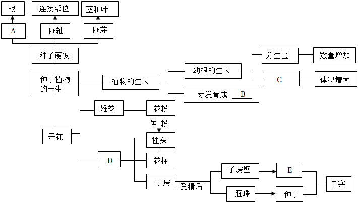 菁優(yōu)網