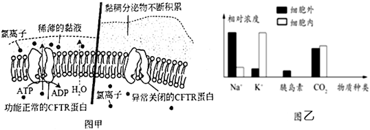 菁優(yōu)網(wǎng)