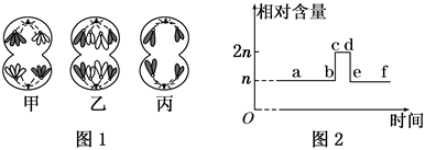 菁優(yōu)網(wǎng)