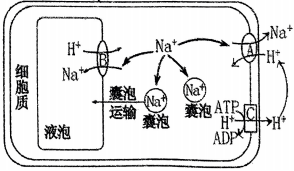 菁優(yōu)網(wǎng)