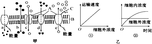 菁優(yōu)網(wǎng)