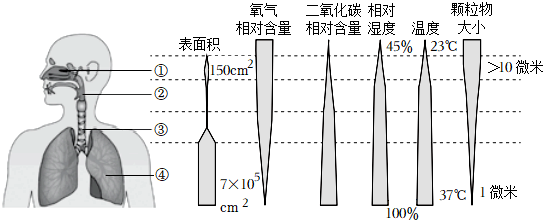 菁優(yōu)網