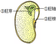 菁優(yōu)網