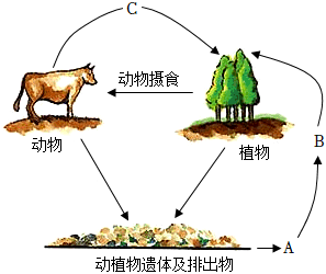 菁優(yōu)網(wǎng)