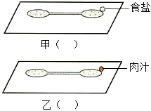 菁優(yōu)網(wǎng)