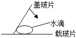 菁優(yōu)網