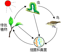 菁優(yōu)網(wǎng)