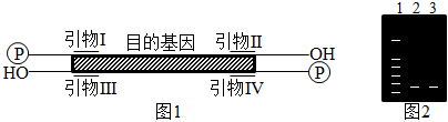 菁優(yōu)網