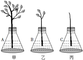 菁優(yōu)網(wǎng)