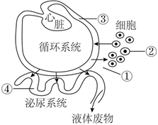 菁優(yōu)網(wǎng)