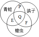 菁優(yōu)網(wǎng)