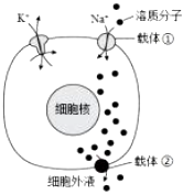 菁優(yōu)網(wǎng)