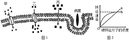 菁優(yōu)網(wǎng)